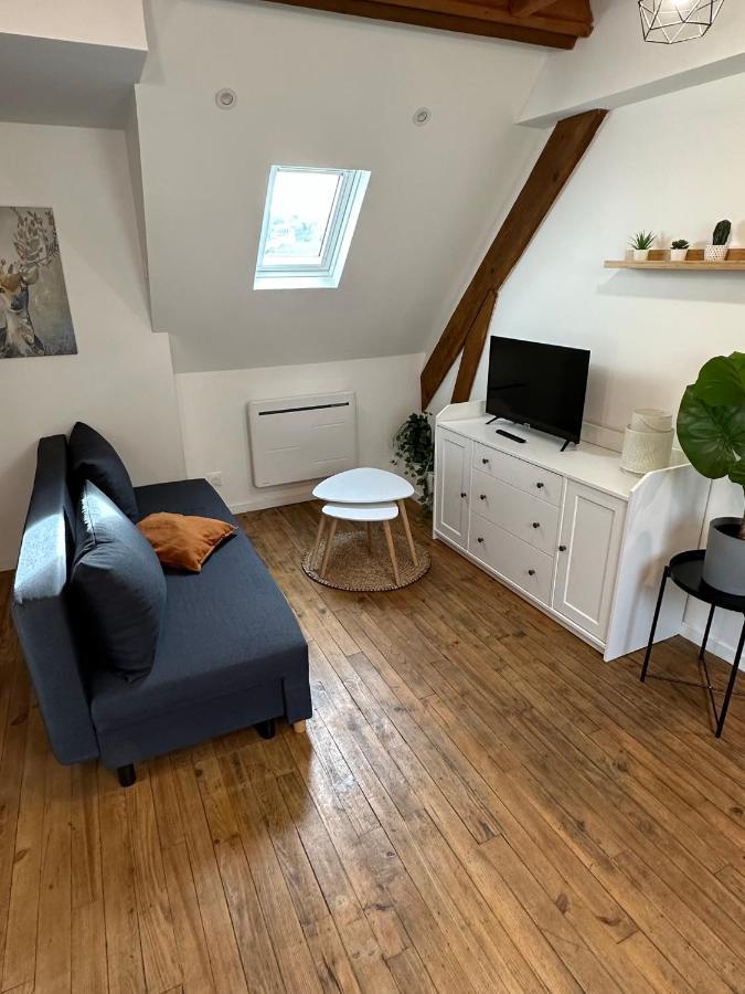 Superbe Appartement Mansarde Avec Mezzanine - Proche Centre Ville, Thermes, Aquensis Bagnères-de-Bigorre المظهر الخارجي الصورة